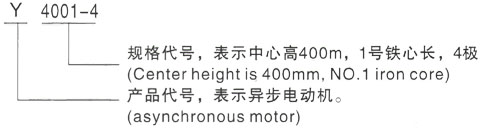 西安泰富西玛Y系列(H355-1000)高压YE2-90L-4三相异步电机型号说明