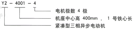 YR系列(H355-1000)高压YE2-90L-4三相异步电机西安西玛电机型号说明